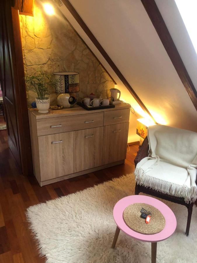 Willa Nad Popradem Bed and Breakfast Piwniczna-Zdroj Εξωτερικό φωτογραφία