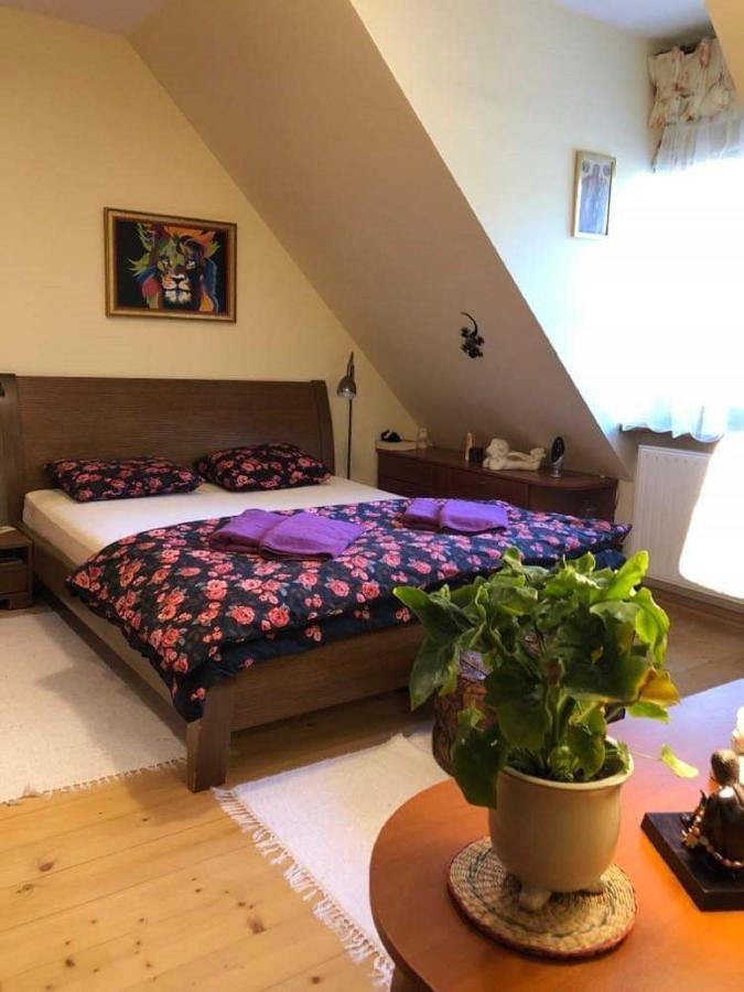 Willa Nad Popradem Bed and Breakfast Piwniczna-Zdroj Εξωτερικό φωτογραφία