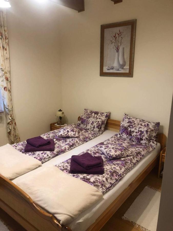 Willa Nad Popradem Bed and Breakfast Piwniczna-Zdroj Εξωτερικό φωτογραφία