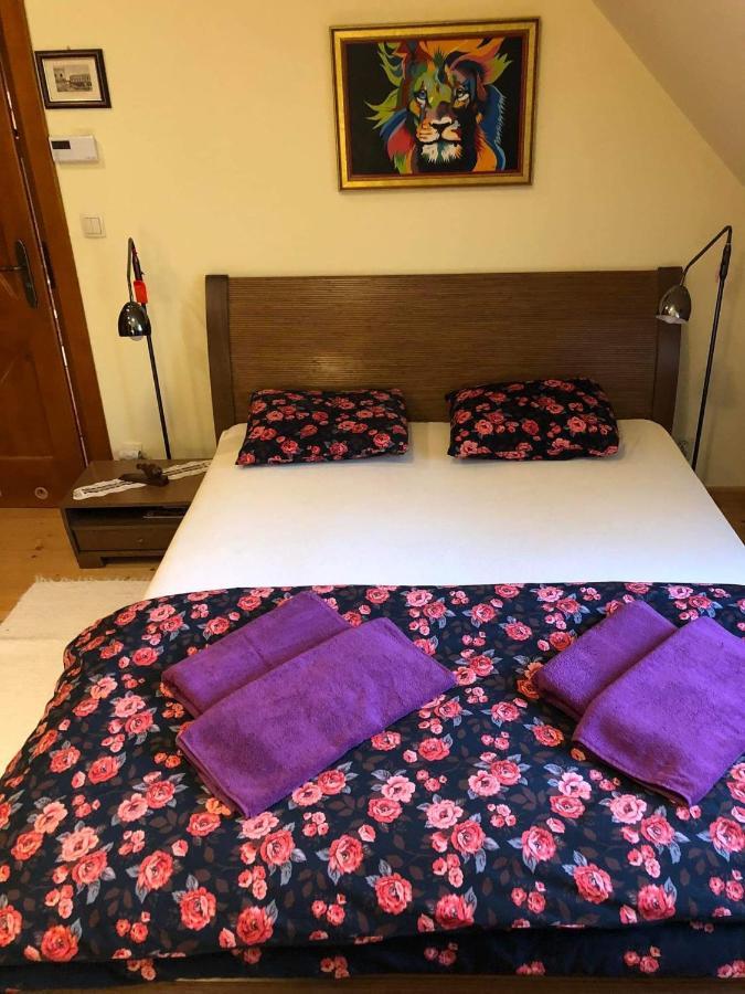 Willa Nad Popradem Bed and Breakfast Piwniczna-Zdroj Εξωτερικό φωτογραφία