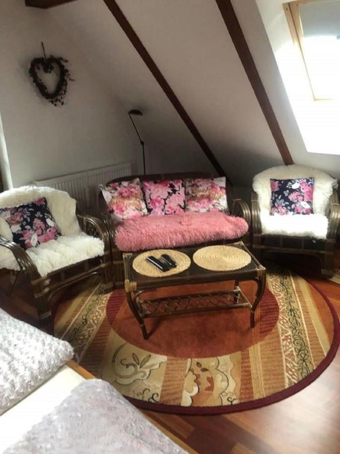Willa Nad Popradem Bed and Breakfast Piwniczna-Zdroj Εξωτερικό φωτογραφία