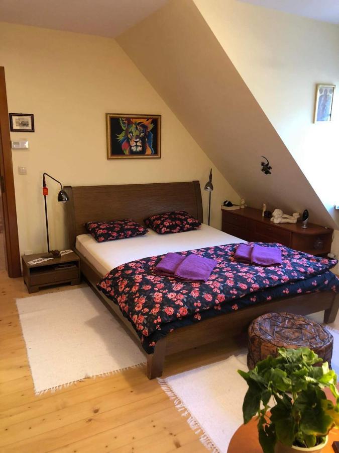 Willa Nad Popradem Bed and Breakfast Piwniczna-Zdroj Εξωτερικό φωτογραφία