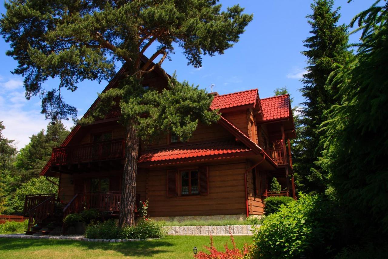 Willa Nad Popradem Bed and Breakfast Piwniczna-Zdroj Εξωτερικό φωτογραφία
