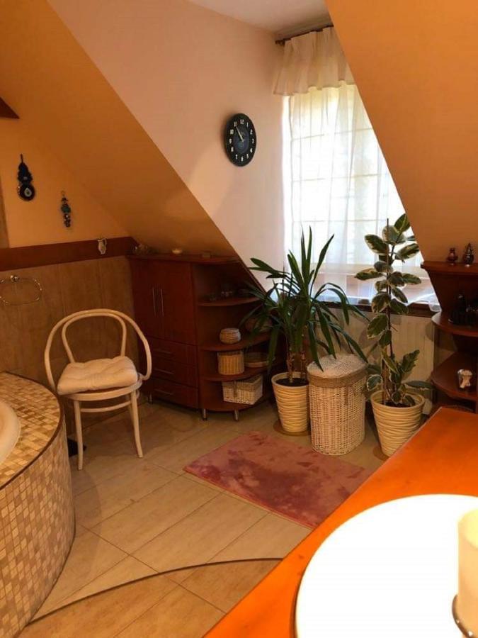 Willa Nad Popradem Bed and Breakfast Piwniczna-Zdroj Εξωτερικό φωτογραφία