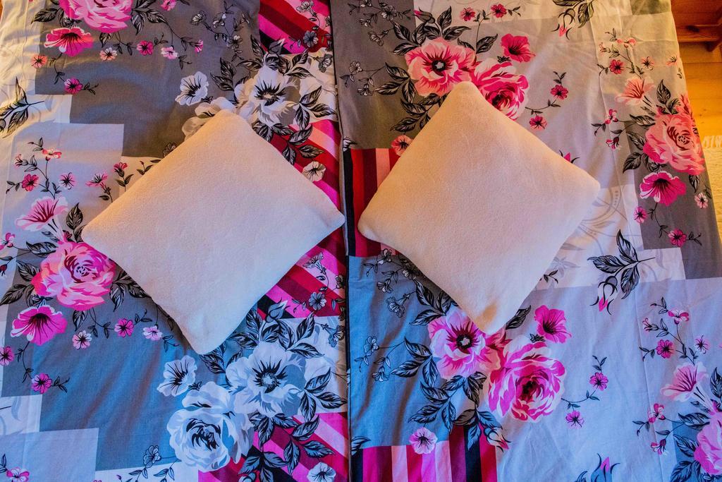 Willa Nad Popradem Bed and Breakfast Piwniczna-Zdroj Εξωτερικό φωτογραφία
